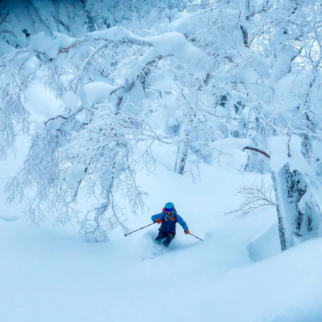 MABEY SKI WHITEROOM TOURS JAPAN SKIING skiing
