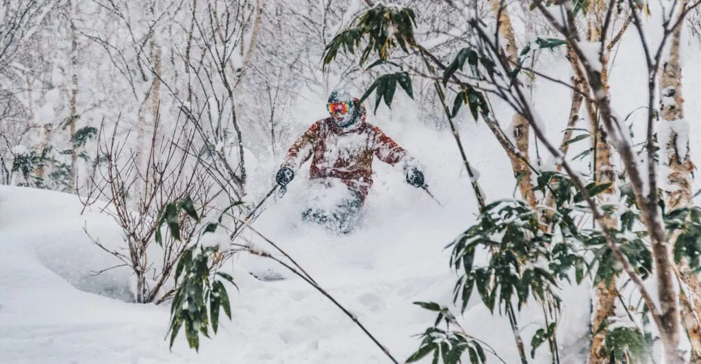 Skiing through birch trees in Hokkaido Japan