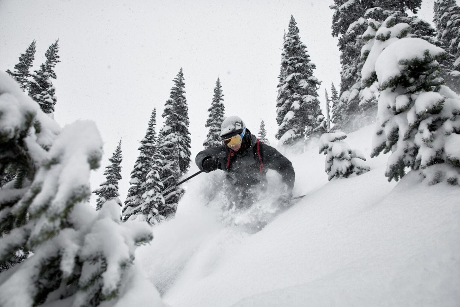skier making a turn in deep powder snow surrounded by trees