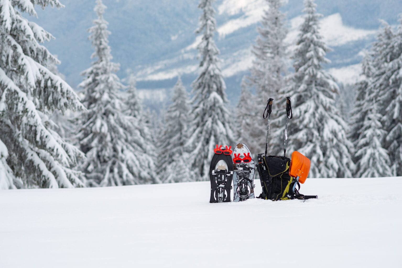 Avalanche Safety Guide - Avalanche & Ski Equipment in Snow Canada BC