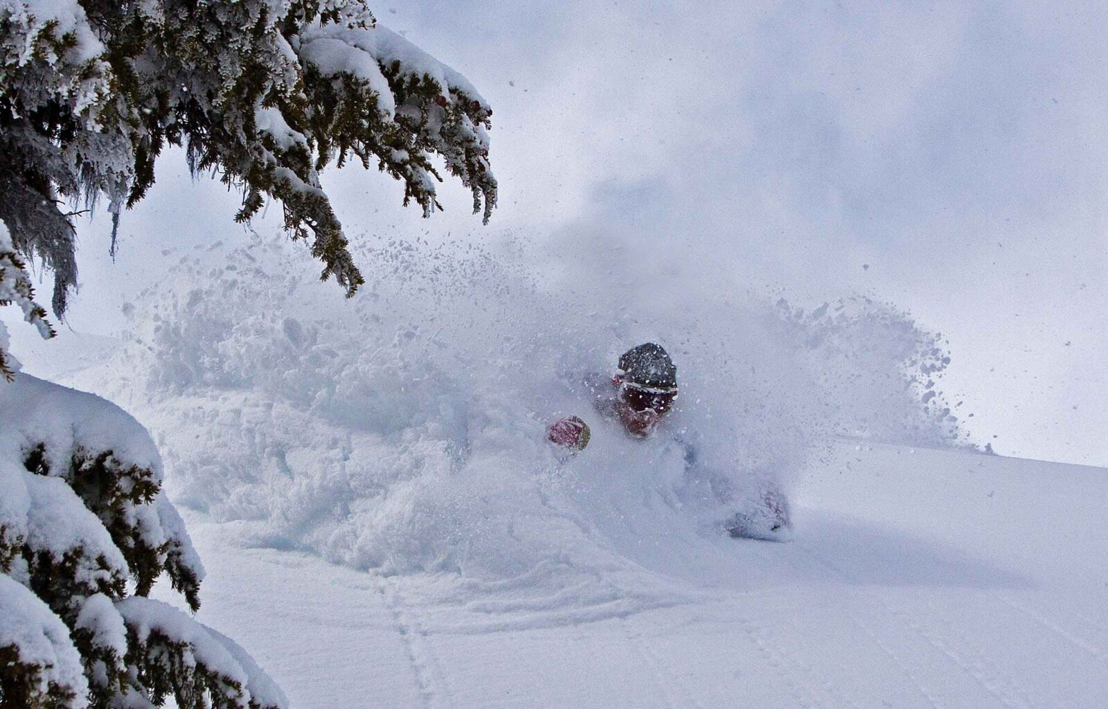 skiier going down in the powder snow in Canada