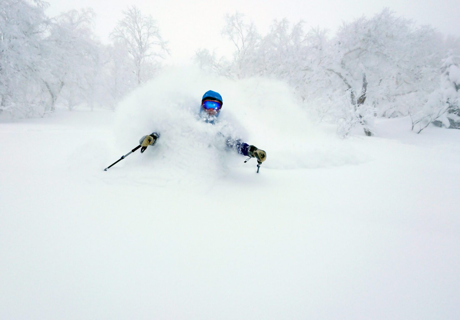 skier skiing into powder snow in japan